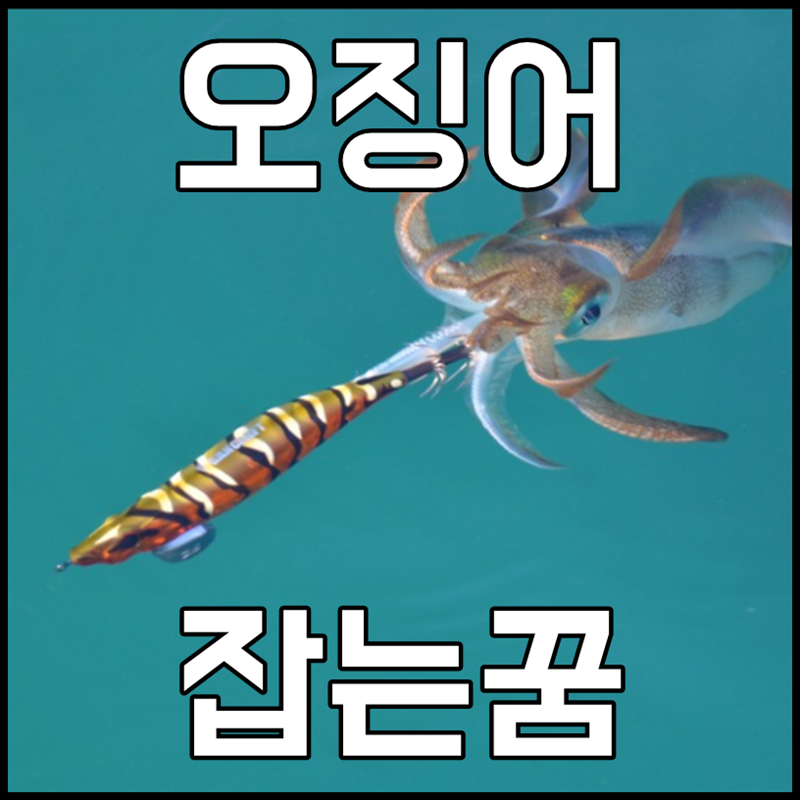 오징어잡는꿈 오징어꿈 어떤 해몽이?