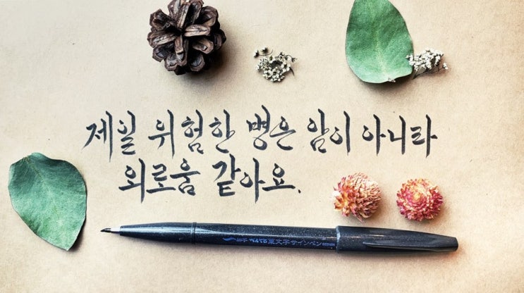  한글 캘리 - 윤대녕 [밤의 흔적] 중