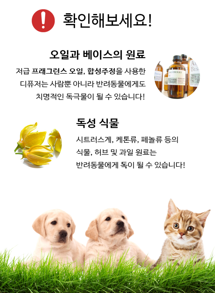  디퓨저 오일, 프래그런스 오일-에센셜 오일