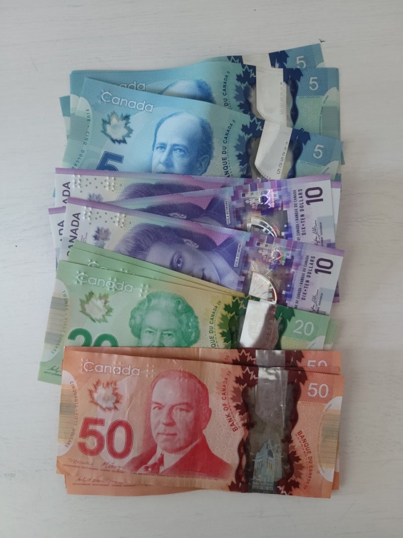 Viola Desmond 비올라 데스몬드, 캐나다 새 10달러 지폐를 장식한 인물 : 네이버 블로그