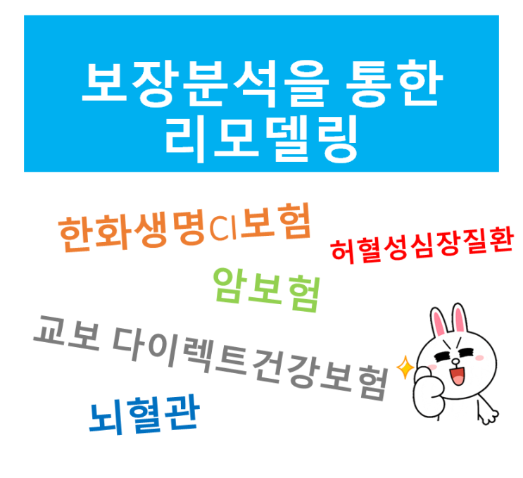  보장분석
