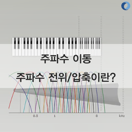  보청기 브랜드별 기능 비교 '주파수 이동/전위/압축 기능'