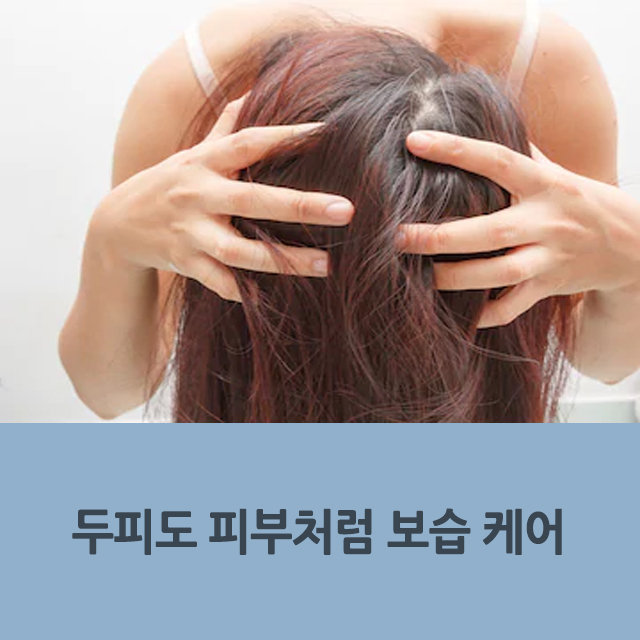  두피도 피부다! 두피도 피부처럼 보습 케어가 중요한 이유