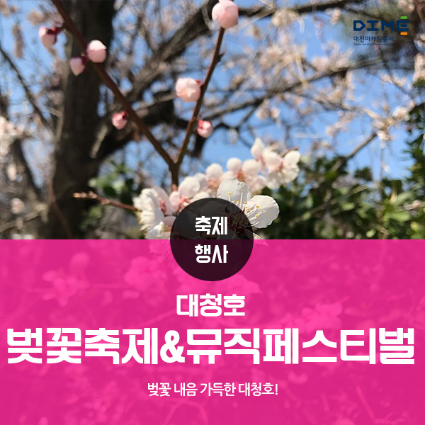  벚꽃내음 가득한 대청호 제 1회 벚꽃축제 & 2019 대청호 뮤직페스티벌