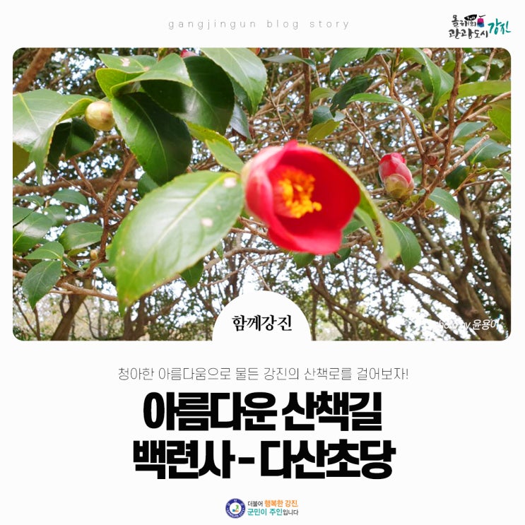  청아한 아름다움이 물든 산책길, 백련사-다산초당