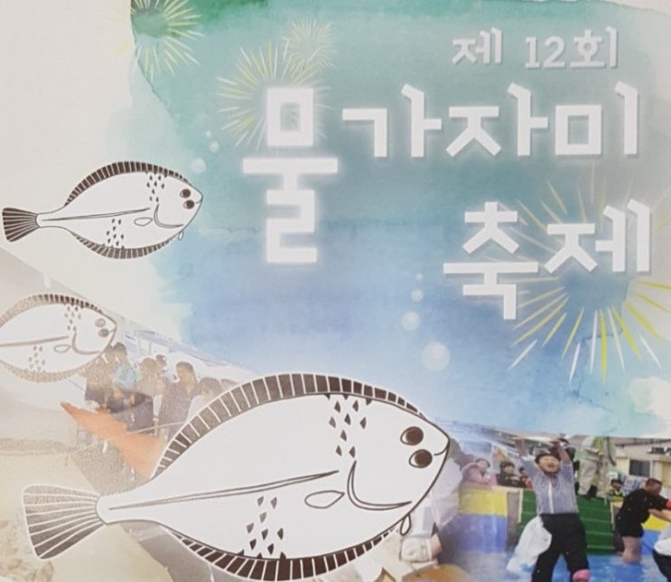  제12회 영덕 물가자미 축제 일정 및 장소안내