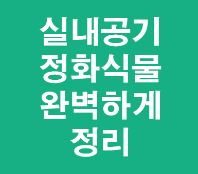 실내공기정화식물 완벽하게 정리 실내공기정화식물 완벽하게 정리