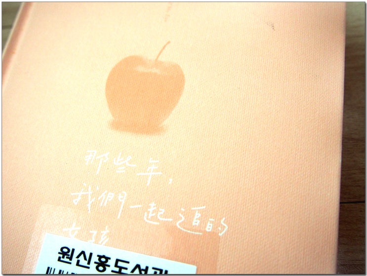  대만영화 그 시절 우리가 좋아했던 소녀 원작소설