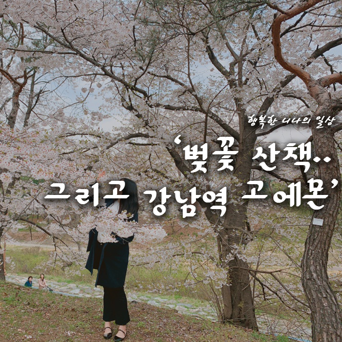 강남역 고에몬 수플레 오믈렛 맛집~ feat.분당탄천 벚꽃 구경
