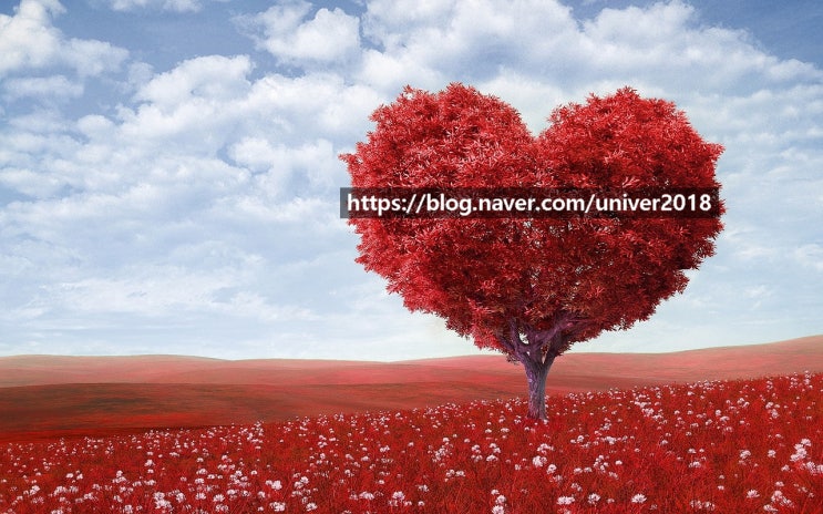  [하루산책]-생긴 그대로 사랑하기/황대권 '야생초 편지' 중에서-