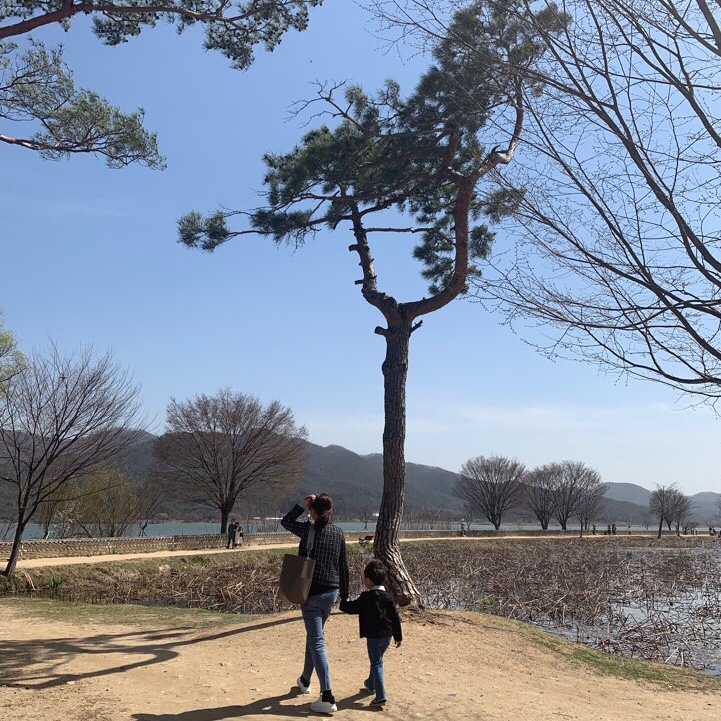  어서와 양평은 처음이지? /두물머리/연핫도그/ 알감자여행1./ 윌리를찾아라
