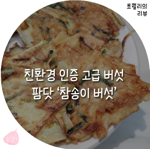 친환경 인증 참송이 버섯 레시피 다양한 요리 쫄깃한 식감은 덤!