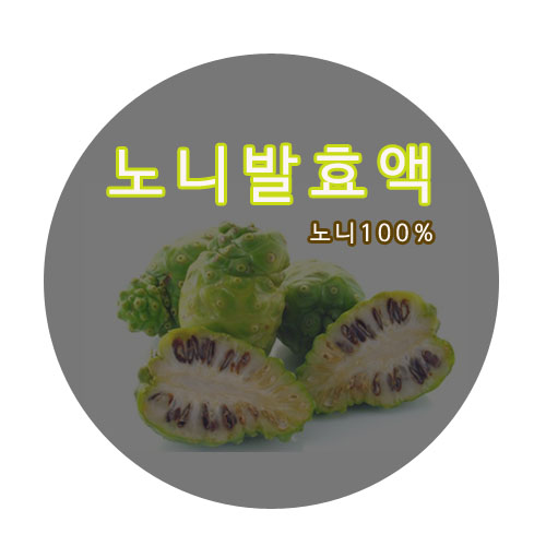  노니발효액 효능. feat 오일로터리 진공펌프 MVP