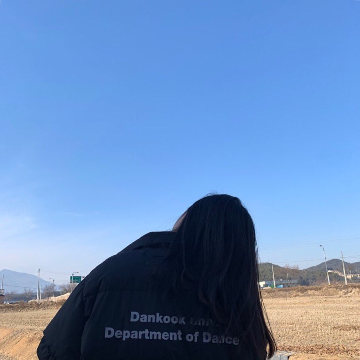  허니부쉬 알면 곤약감자도 알아야지!