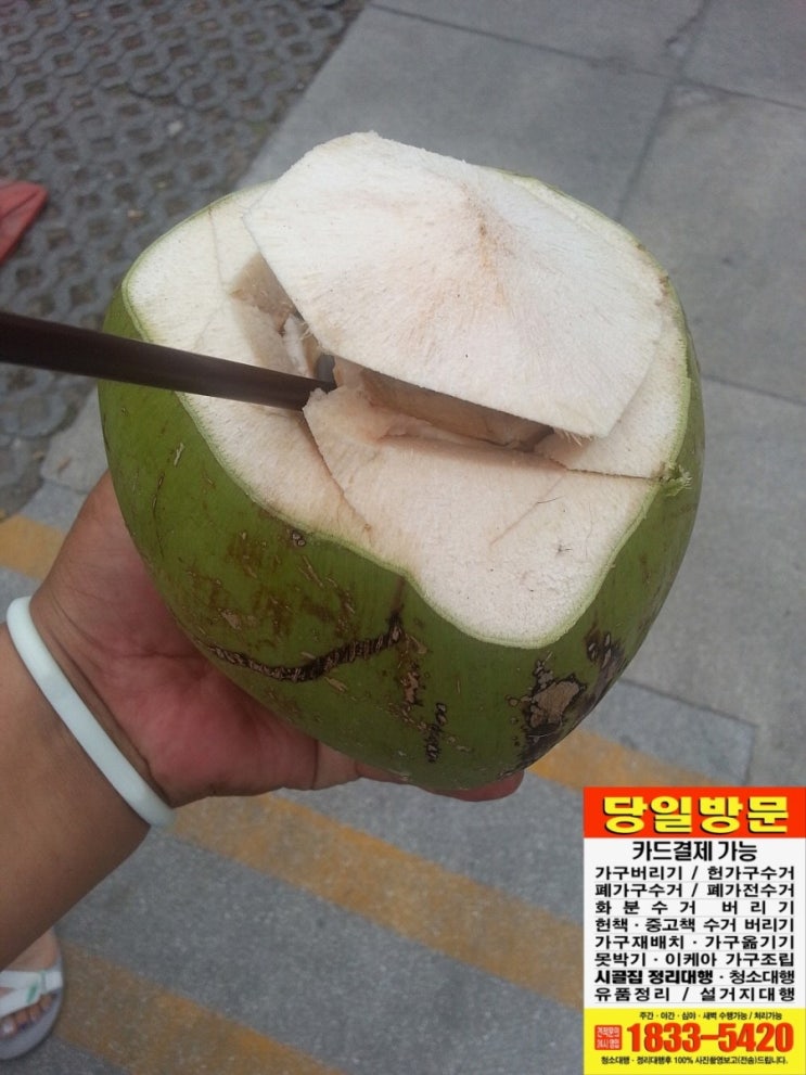  남원 희귀템 정글의 법칙 야자열매 코코넛 사다드림 심돌이 퀵서비스 카드결제 전국서비스