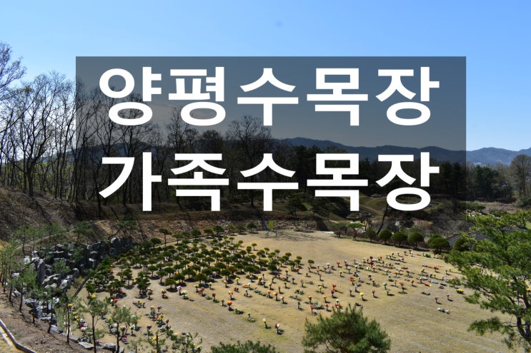  양평수목장 가족단위로 모시기 좋아요.