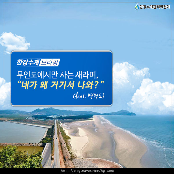 무인도에서만 사는 새라며, 니가 왜 거기서 나와?