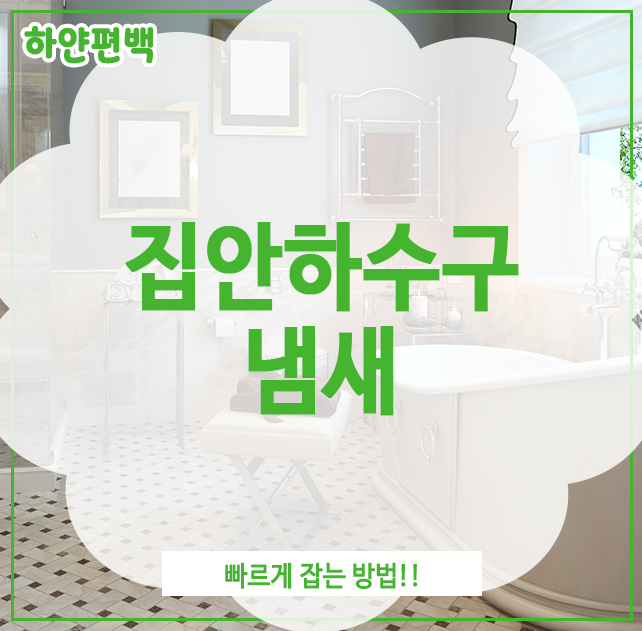  집안하수구냄새, 빠르게 잡는 방법!!