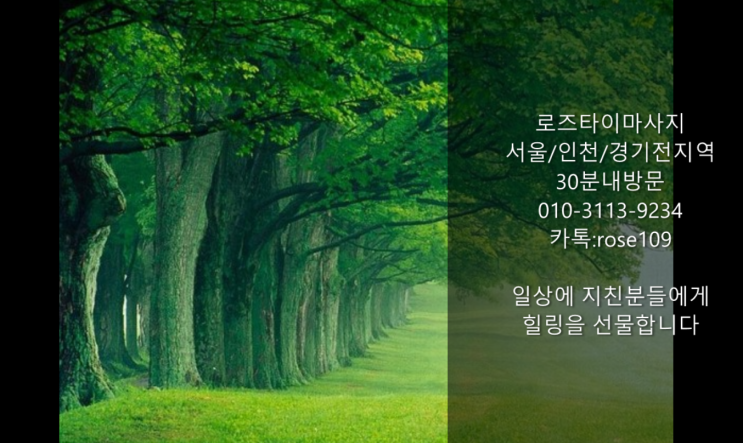  인천 출장마사지 강추 로즈 홈 타이 출장마사지!!!