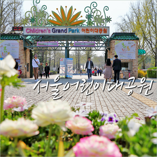 서울 어린이대공원 벚꽃 주말나들이