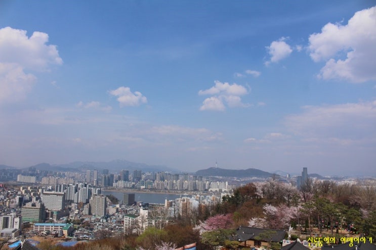  아름다운 풍경이 있는 서울 서달산(달마사) 전망대와 현충원의 수양벚꽃