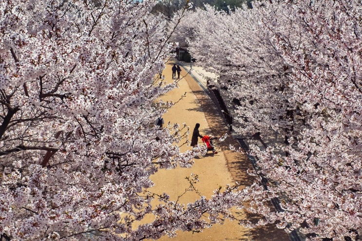  서울숲에서 (gr3)