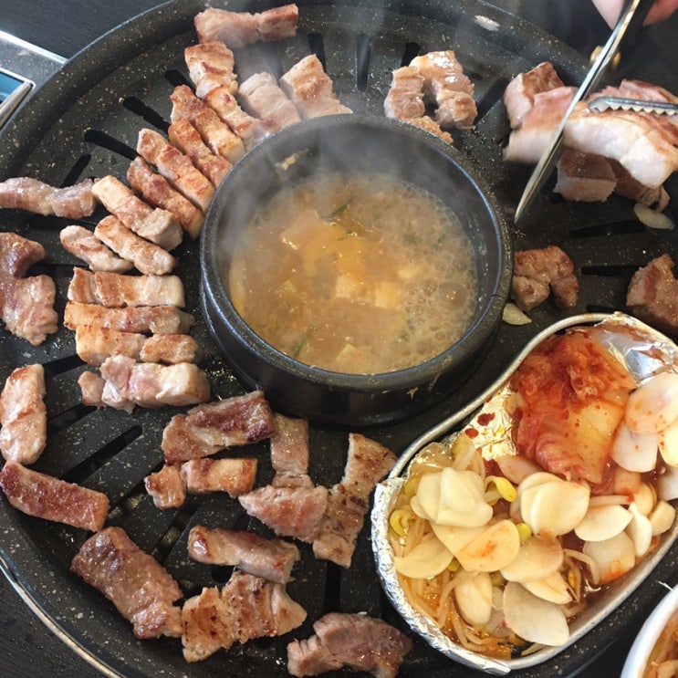  배데일리