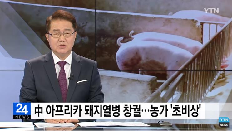 중국의 아프리카 돼지열병