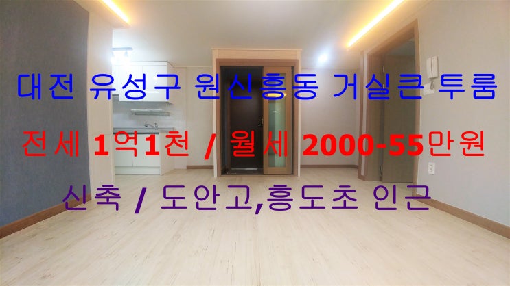  대전 유성구 원신흥동 신축 거실큰 투룸 전세 ,월세(도안고,흥도초 인근)