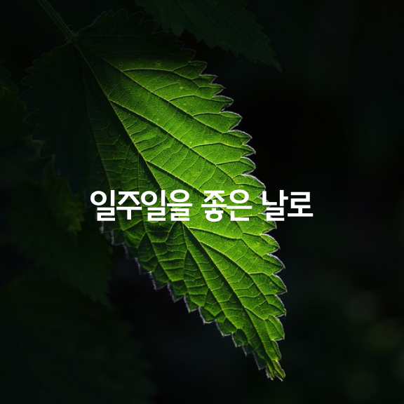  일주일을 좋은 날로