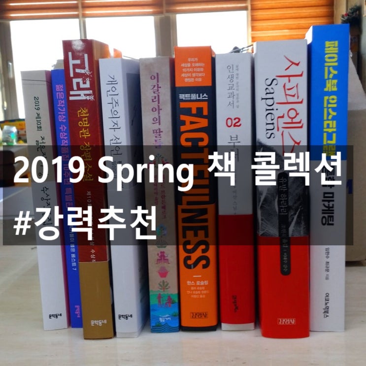 2019 Spring 책 콜렉션 라인업!!  추천도서!!