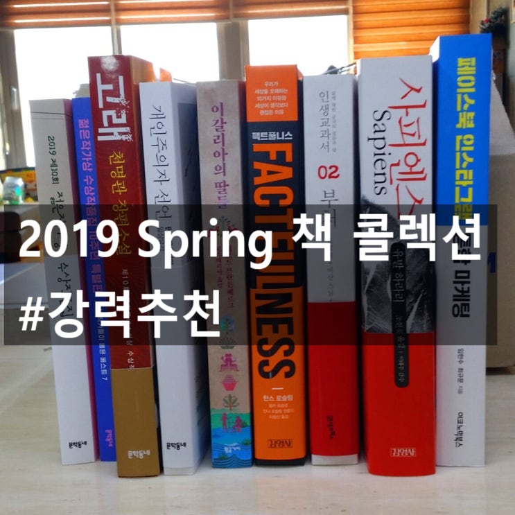  2019 Spring 책 콜렉션 라인업!!  추천도서!!