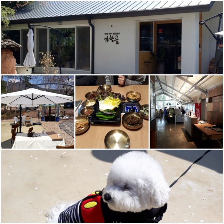  가창맛집 가창골 / 카페와 같은 식당