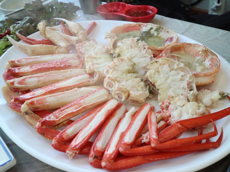  속초 대게 맛집 대포항 두남자활어센터 굿뜨!