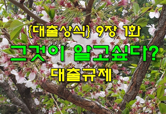  {대출상식} 9장 1화 그것이 알고싶다? 대출규제강화! 대출규제완하!