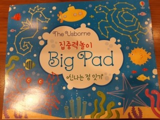  난독증 아이 좌우 치환 증상 완화 활동/ 집중력 놀이 빅 패드 신나는 점 잇기