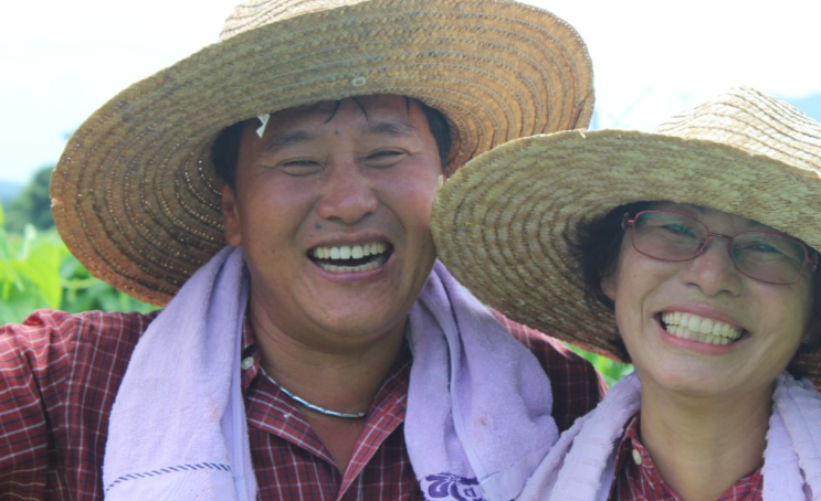  농부, 책을 쓰다 - 첫 농사 첫사랑 마(薯)