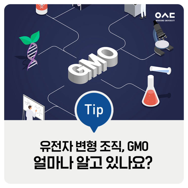  우송대 정보 TipGMO식품, 얼마나 알고 있나요?