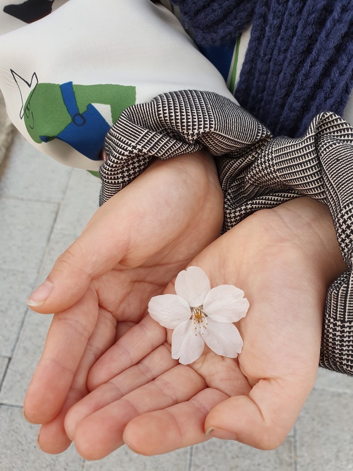  아빠와 봄소풍, 어린이대공원