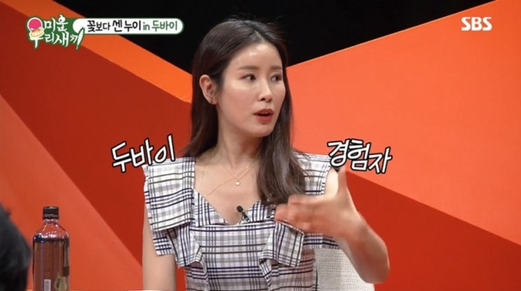  미우새 이태란 배정남이 다녀온 두바이 여행 주요 관광 코스