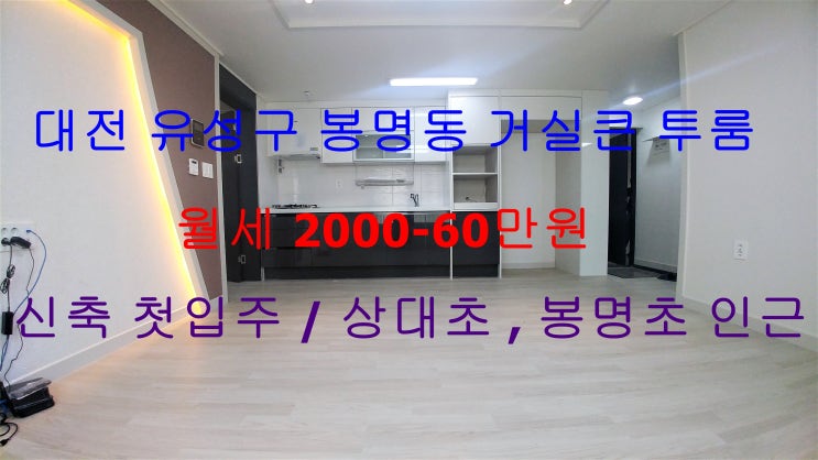  대전 유성구 봉명동 신축 첫입주 거실큰 투룸 월세 (상대초, 봉명초 인근)