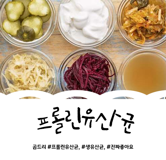  프롤린유산균 정말 좋은 거 인정각!?