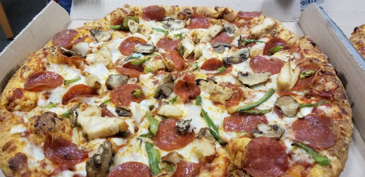 [미국동부-매릴랜드] 도미노 피자(Domino's Pizza)
