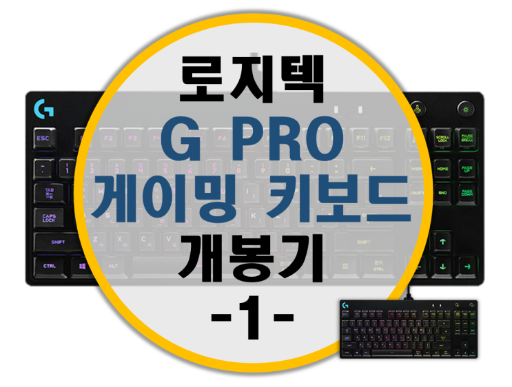 로지텍 게이밍 G PRO 키보드 리뷰 -1- 개봉기 로지텍 게이밍 G PRO 키보드 리뷰 -1- 개봉기