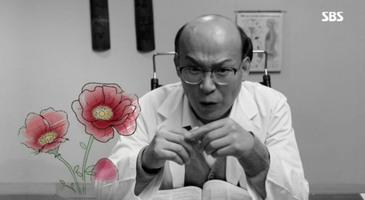  열혈사제 설사화 = 설사 진짜 꽃?