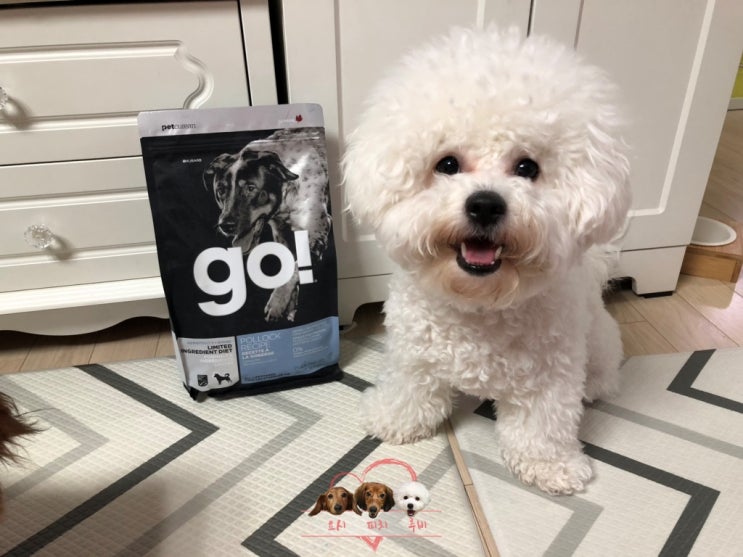  고신제품 강아지사료 펫큐리언 이글벳 GO사료 고LID 폴록