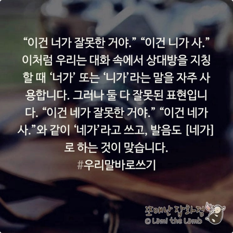  맞춤법 - 우리말 바로쓰기: 네가 (o) 니가 너가 (x)