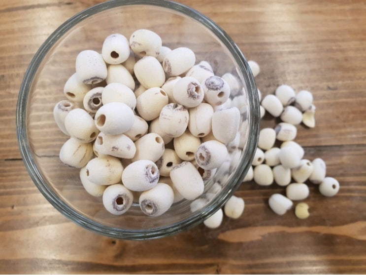 다이어트밥 연자육 효능 및 복용법 맛 부작용
