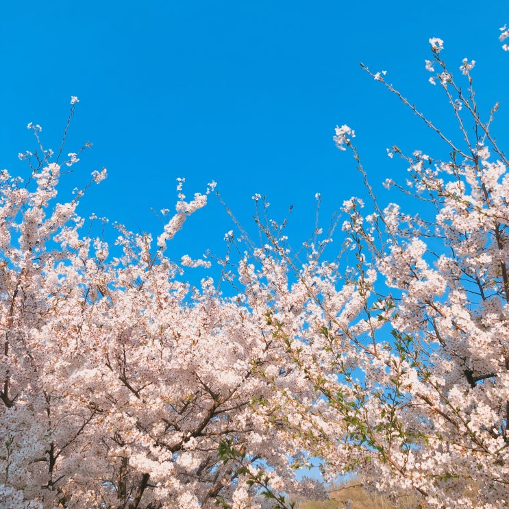  2019.04.13 (토) 주말 알바하는 하루