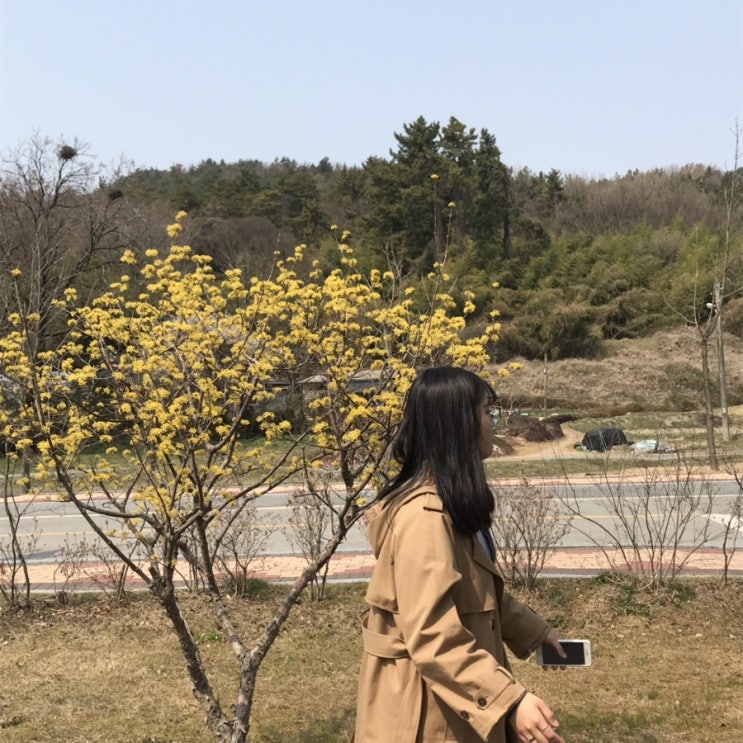  3월부터 4월 어느날